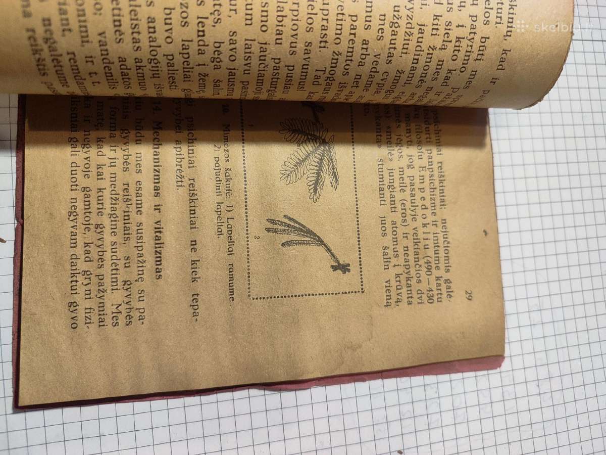 Tarpukario knygute - nuotraukos Nr. 5