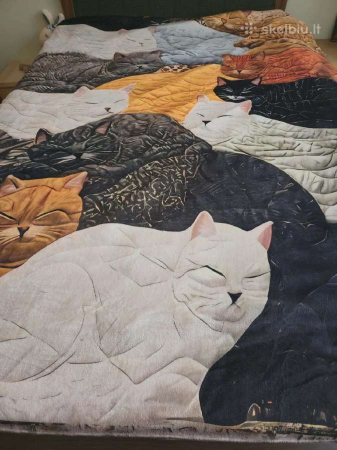Pledas lovatiesė su katinais