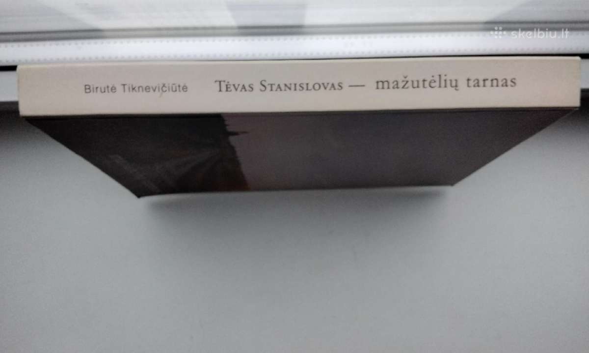 Tiknevičiūtė. Tėvas Stanislovas - mažutėlių tarnas - nuotraukos Nr. 15