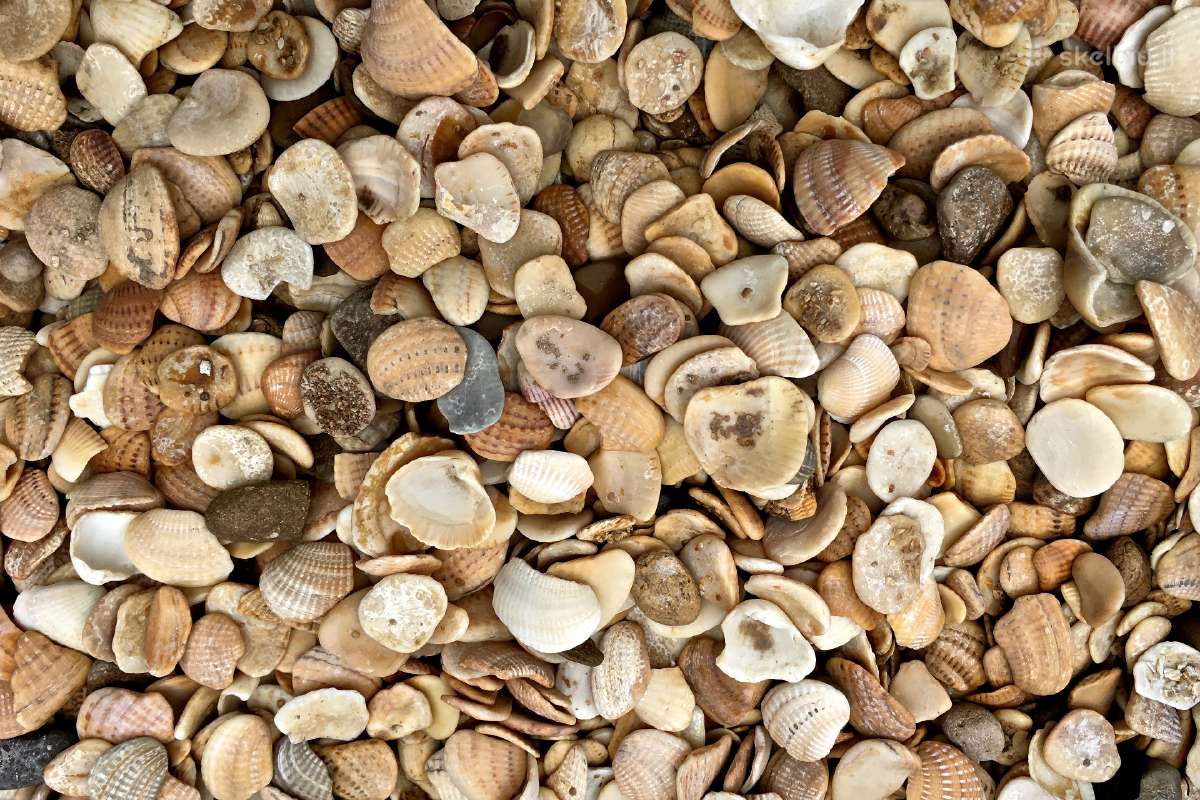 Dekoratyvinė skalda, gludinti akmenukai - nuotraukos Nr. 6