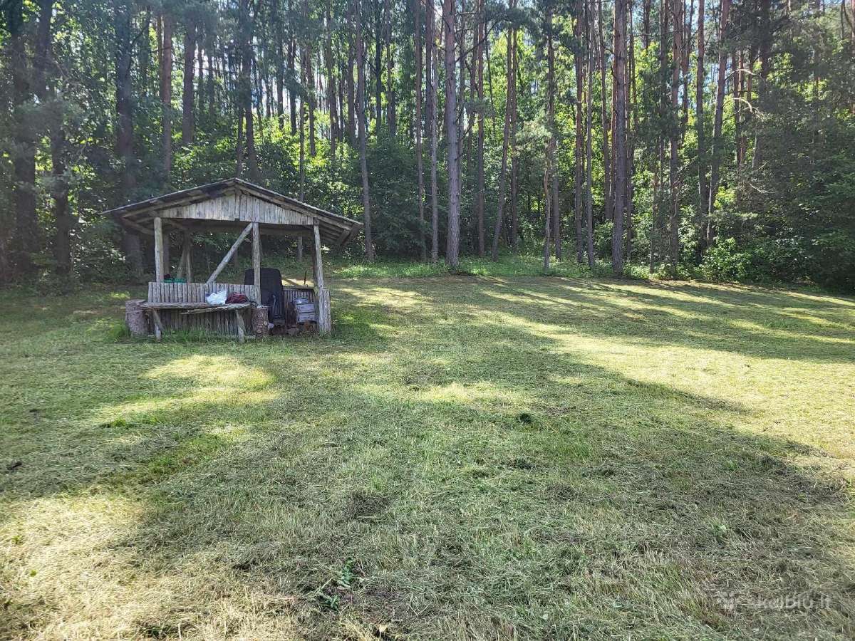 Išskirtinis Sklypas Pusiasalyje Prie Veisiejo Ež. - nuotraukos Nr. 3