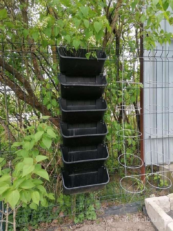 Vazonai sodinimo dėžės vertikalios augalų sienos