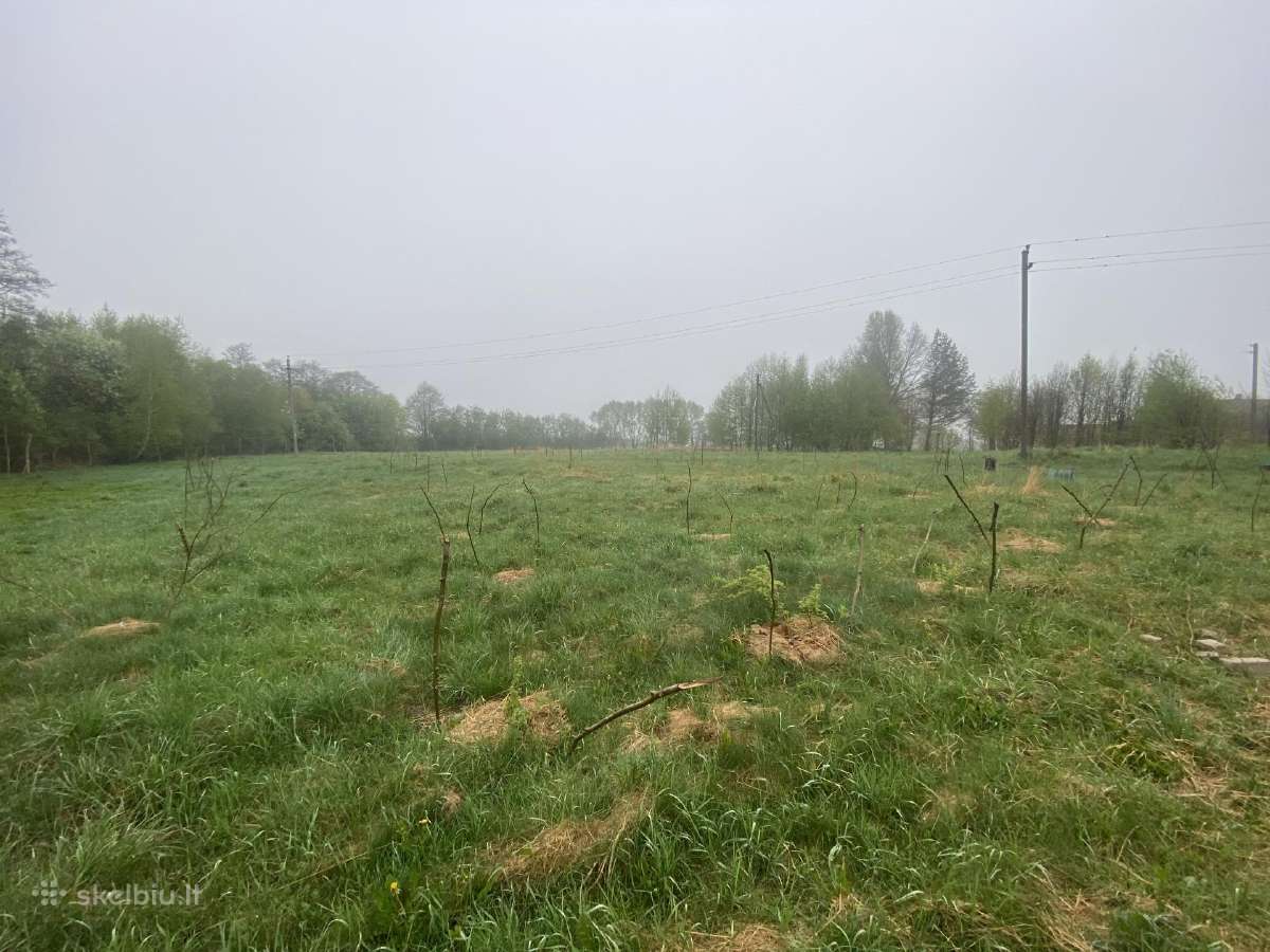 Unikalus sklypas prie miško, sodybvietės projektas - nuotraukos Nr. 5