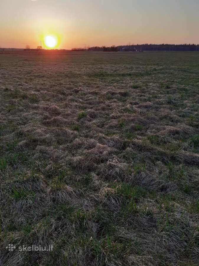 Sklypai gyvenamųjų namų statybai - nuotraukos Nr. 5