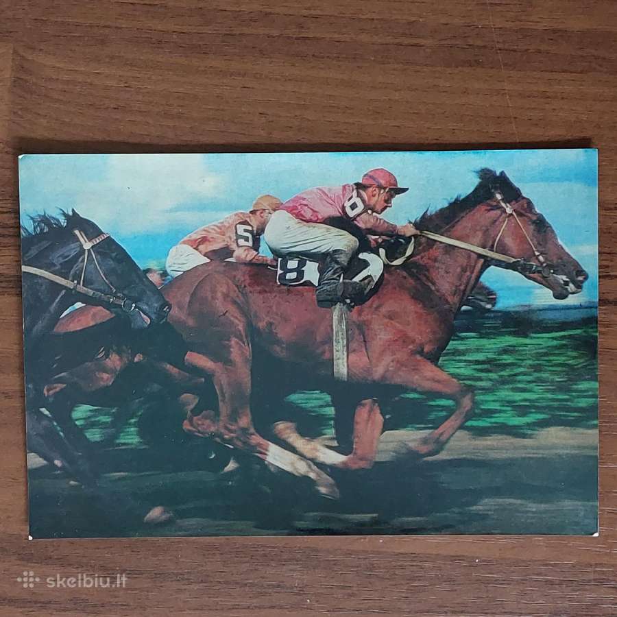 Atvirukų rinkinys 1986 m. - Lietuvos žirgai - nuotraukos Nr. 7