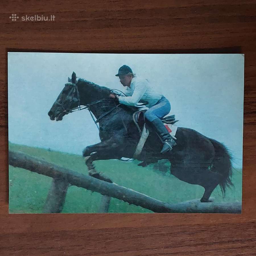 Atvirukų rinkinys 1986 m. - Lietuvos žirgai - nuotraukos Nr. 8