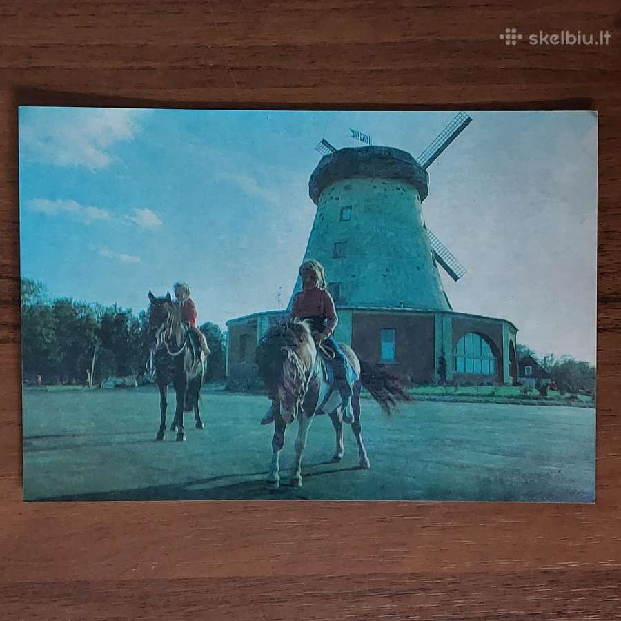 Atvirukų rinkinys 1986 m. - Lietuvos žirgai - nuotraukos Nr. 9