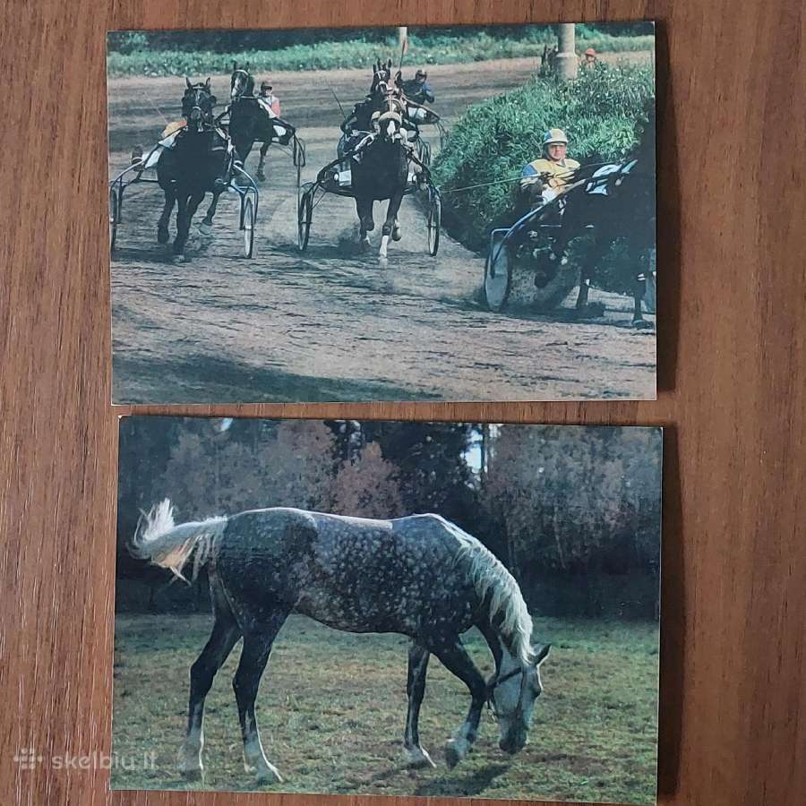 Atvirukų rinkinys 1986 m. - Lietuvos žirgai - nuotraukos Nr. 12