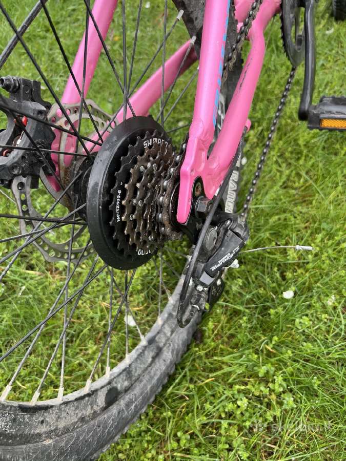 Vaikiškas dviratis Gust Frizzy 20'' Pink - nuotraukos Nr. 4