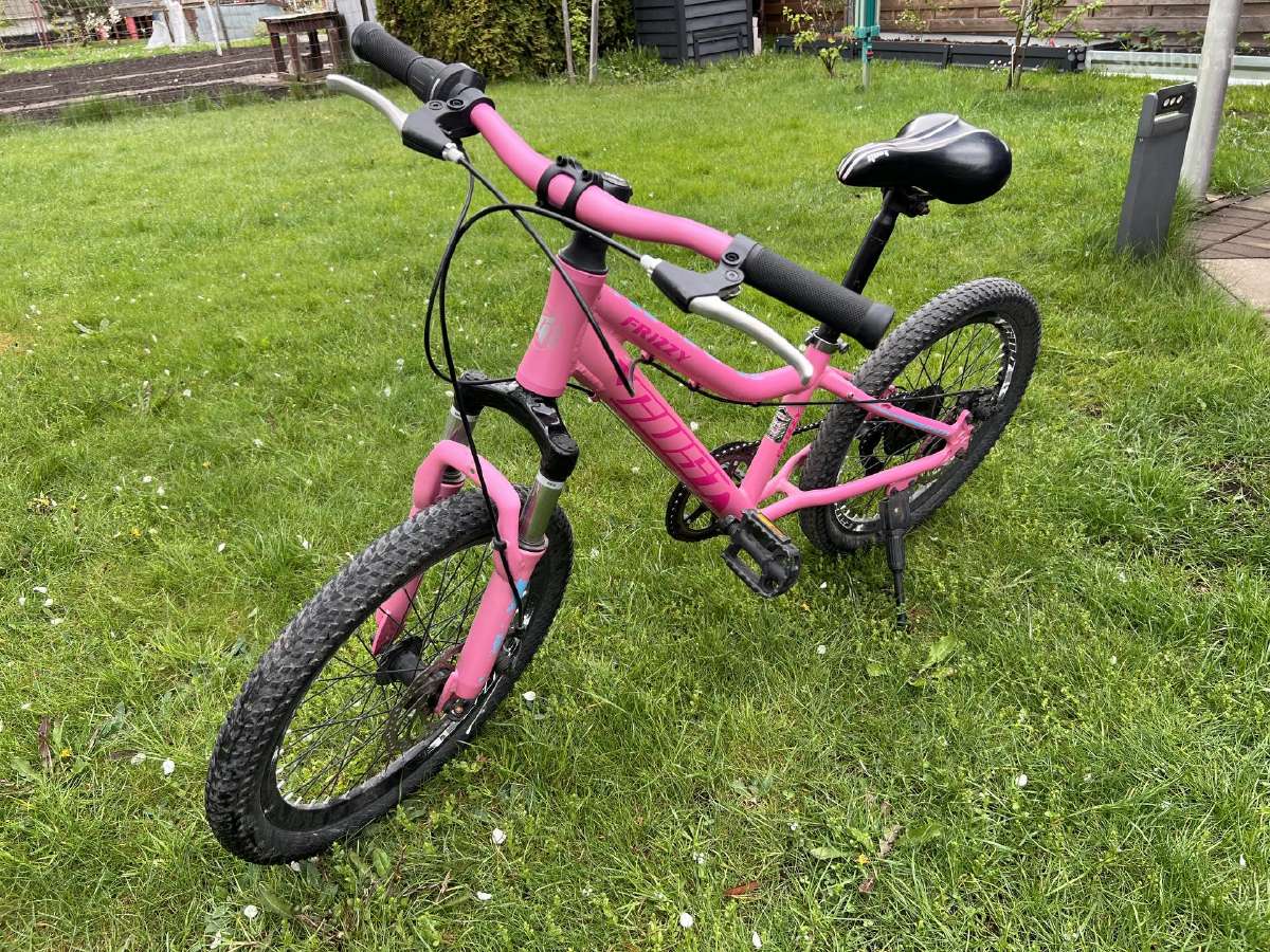 Vaikiškas dviratis Gust Frizzy 20'' Pink