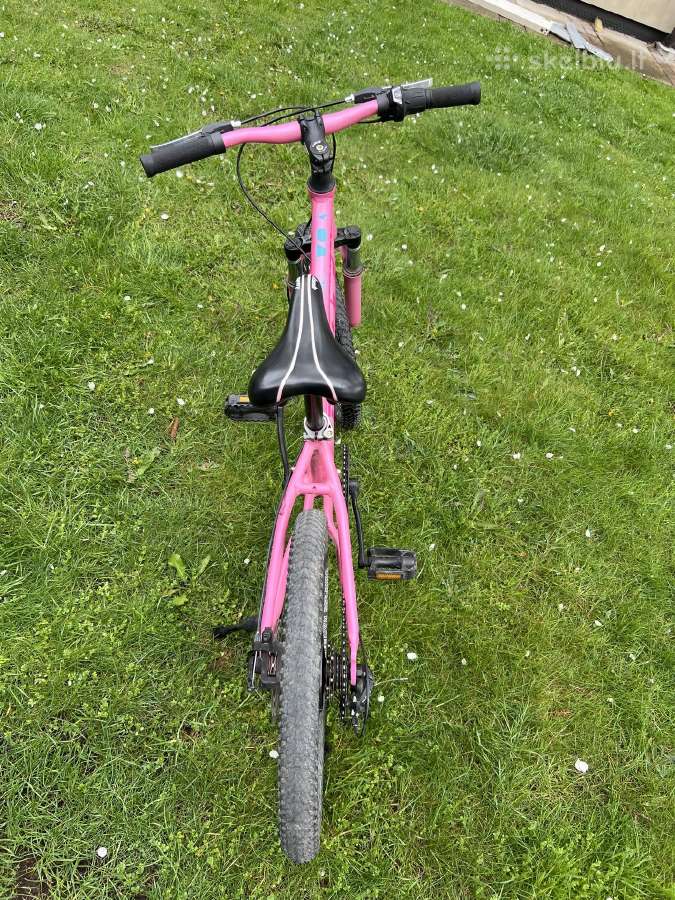 Vaikiškas dviratis Gust Frizzy 20'' Pink - nuotraukos Nr. 5