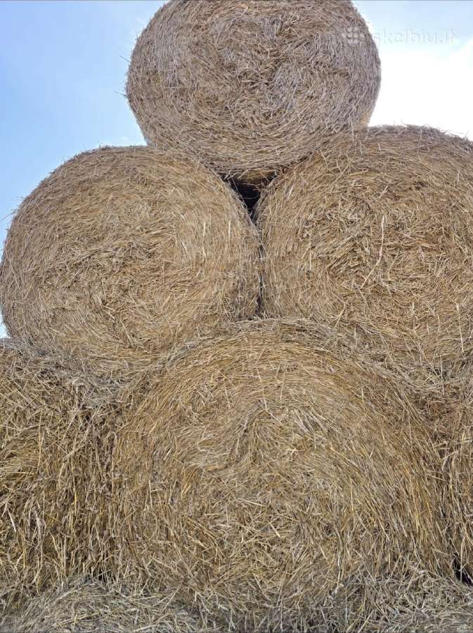 Šiaudai rulonuose