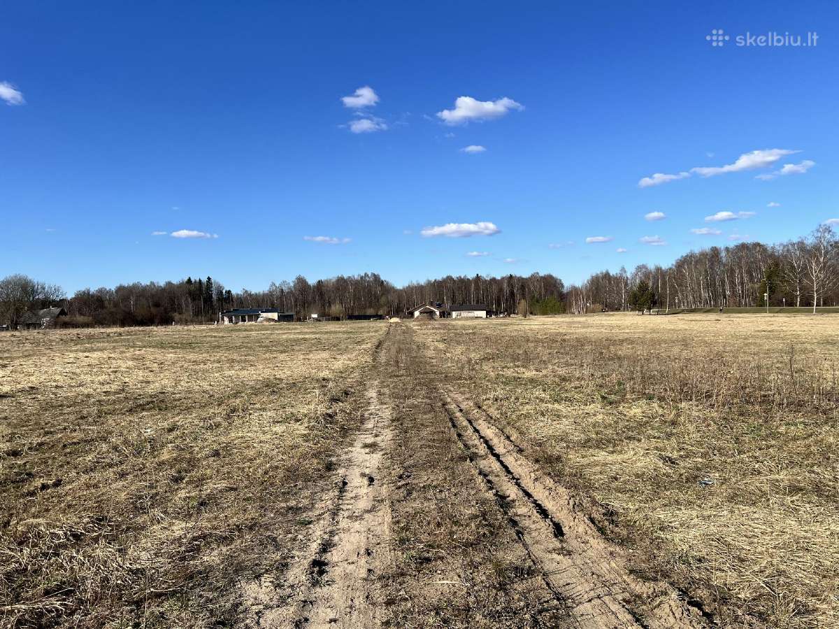 Parduodami namų valdos sklypai Mažeikiuose - nuotraukos Nr. 3
