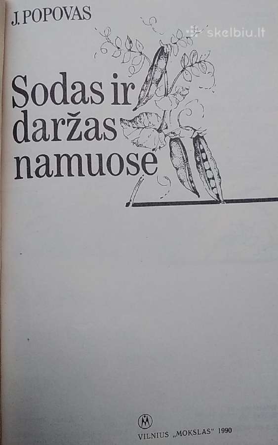 Sodas ir daržas namuose - nuotraukos Nr. 2
