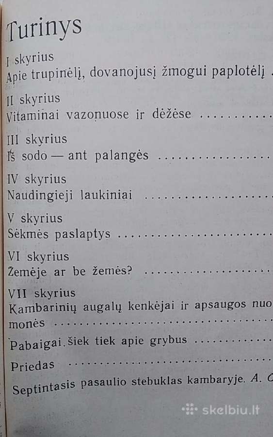 Sodas ir daržas namuose - nuotraukos Nr. 3