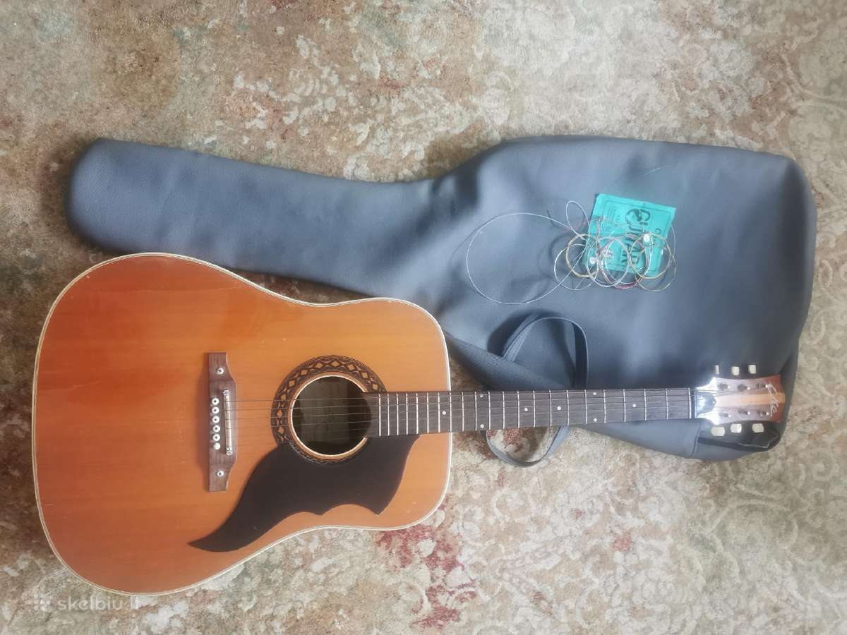 Eko akustinė gitara