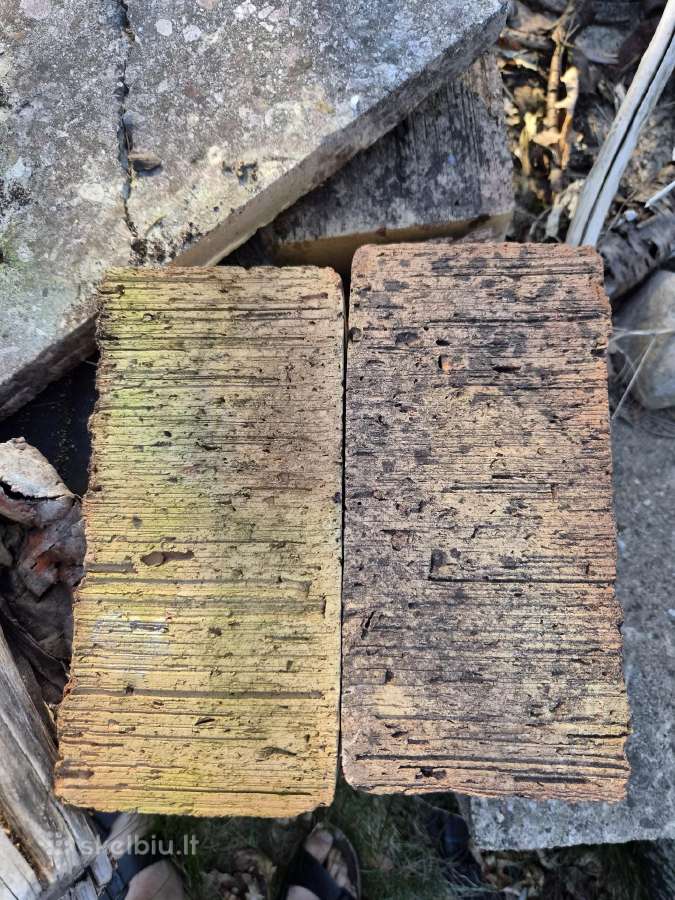 Dovanoju pilnavidures raudonas plytas