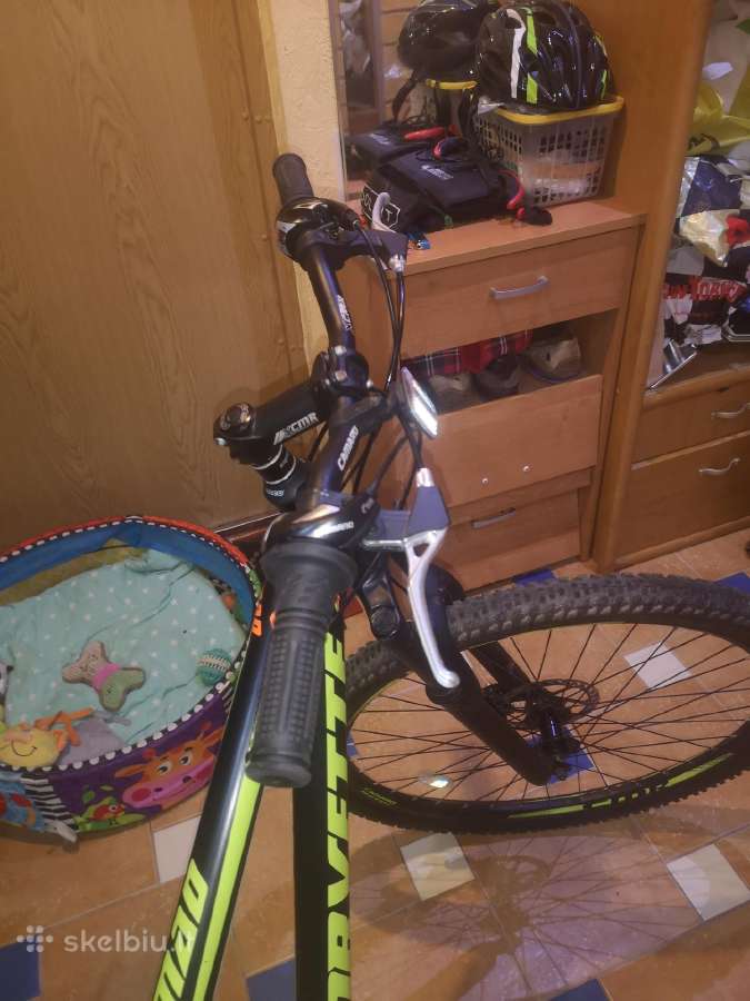 Dviratis MTB 29 coliai - nuotraukos Nr. 3