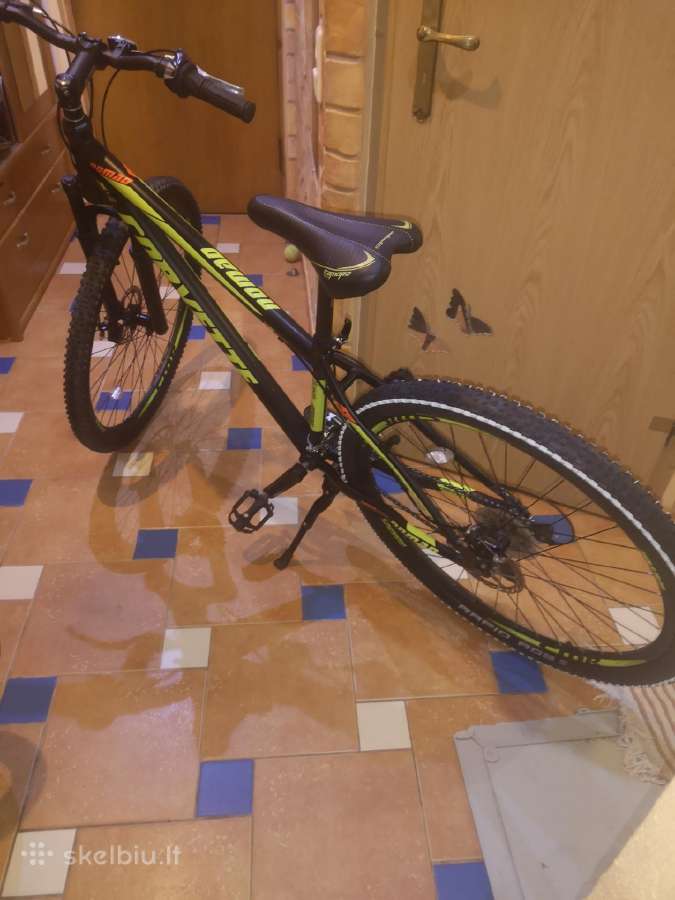 Dviratis MTB 29 coliai - nuotraukos Nr. 7