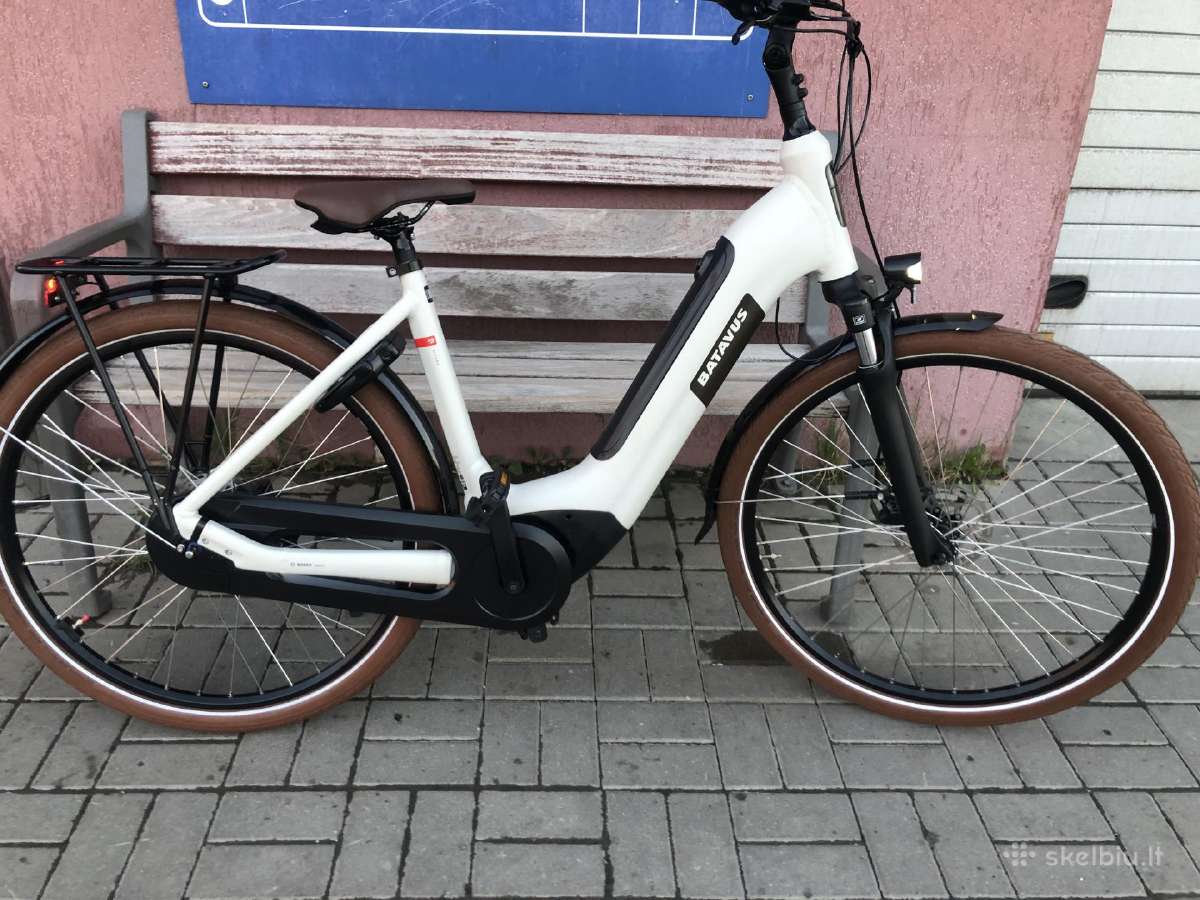 Batavus