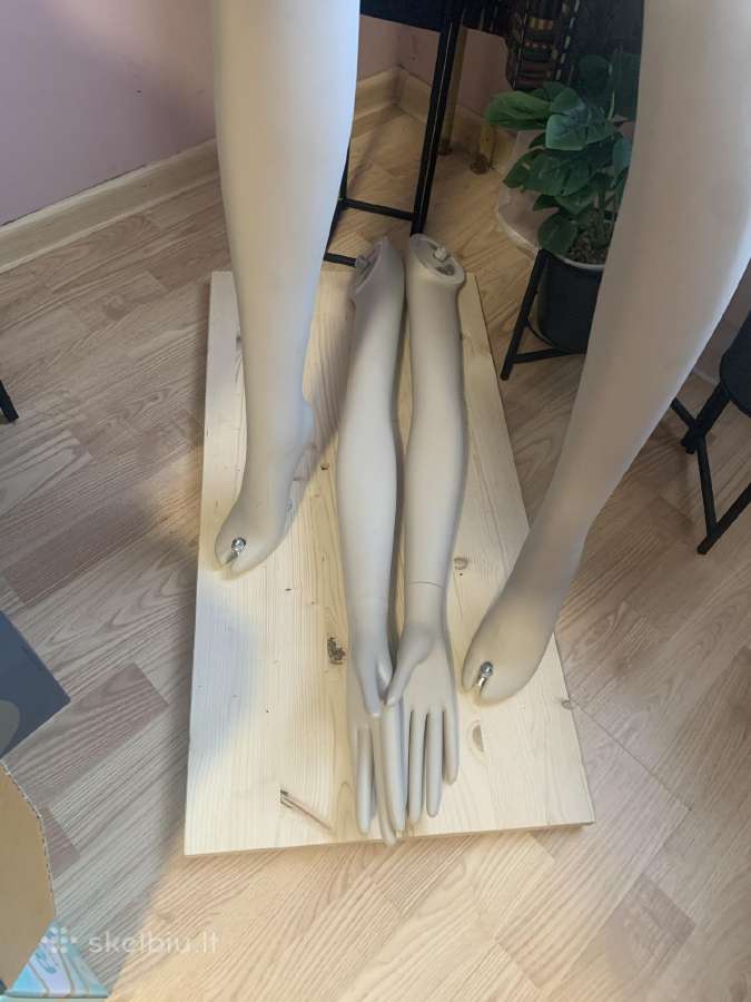 Manikenas