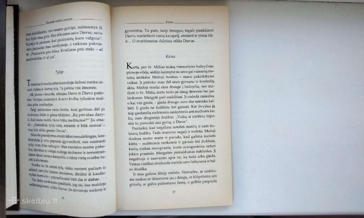 Ir juodos avys gali melstis. Malda. Kai meldžiatės - nuotraukos Nr. 16