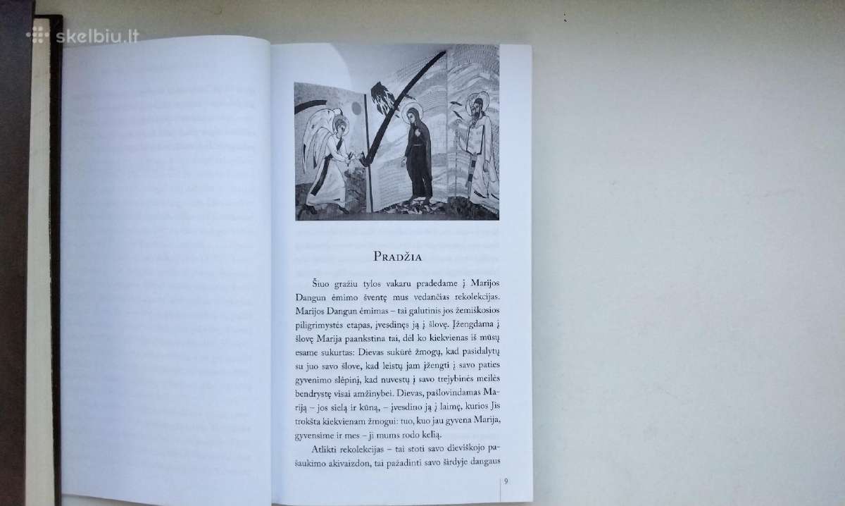 Širdies kalba. Septynios meilės liepsnos. Įtikėti - nuotraukos Nr. 12