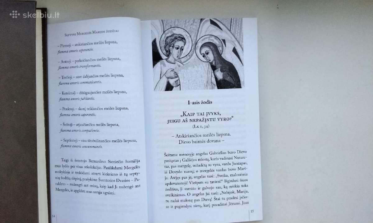 Širdies kalba. Septynios meilės liepsnos. Įtikėti - nuotraukos Nr. 15