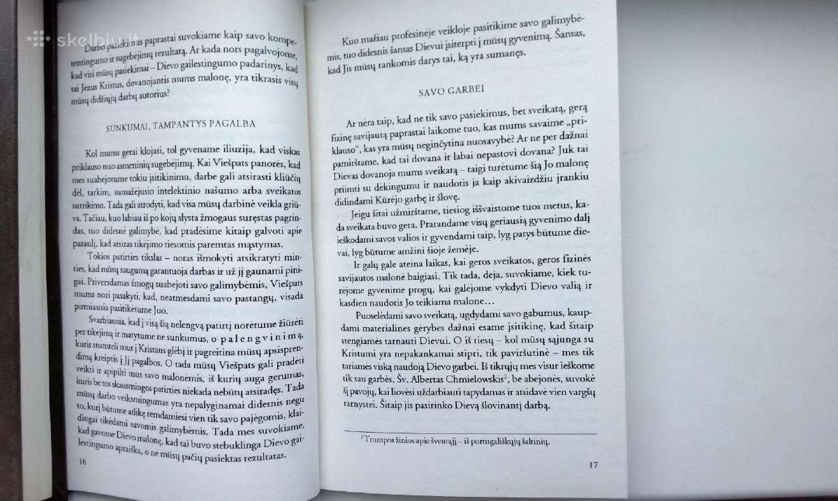 Vien Dievo gana. Gyventi palaiminim dvasia. Kuniga - nuotraukos Nr. 5