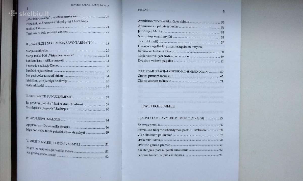 Vien Dievo gana. Gyventi palaiminim dvasia. Kuniga - nuotraukos Nr. 12