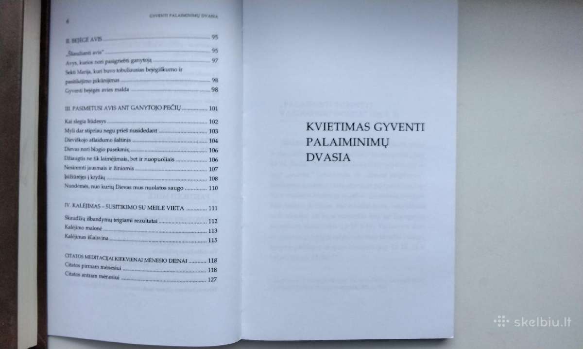 Vien Dievo gana. Gyventi palaiminim dvasia. Kuniga - nuotraukos Nr. 13