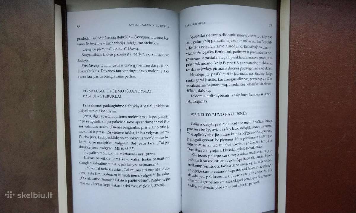 Vien Dievo gana. Gyventi palaiminim dvasia. Kuniga - nuotraukos Nr. 15
