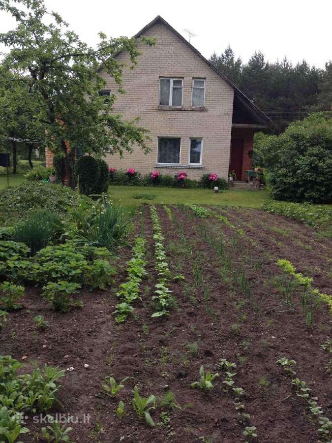 Parduodamas mūrinis namas Norgėlų k., Pasvalio raj - nuotraukos Nr. 3