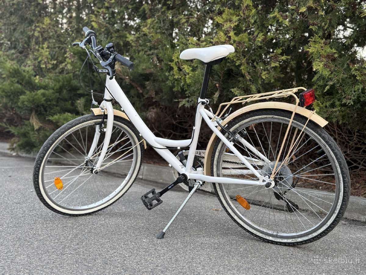 Dviratis Bottari 24" Parma