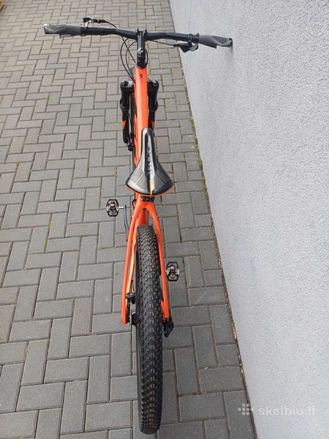 Scott Scale - nuotraukos Nr. 6