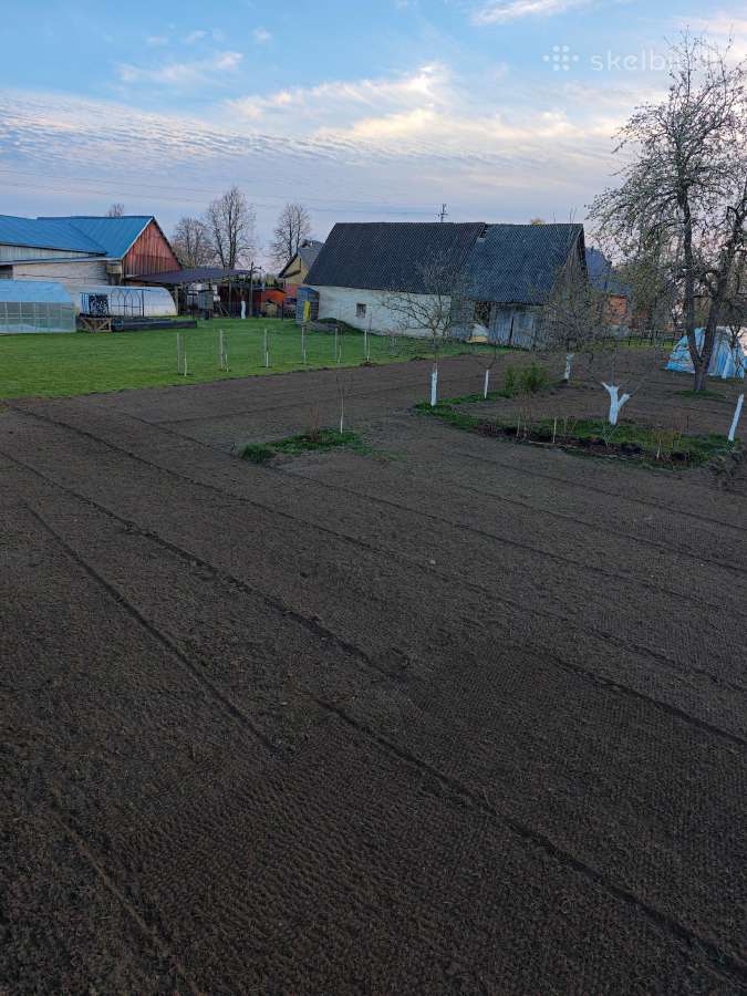 Sklypų lyginimas, žemės bei kelmų frezavimas - nuotraukos Nr. 12