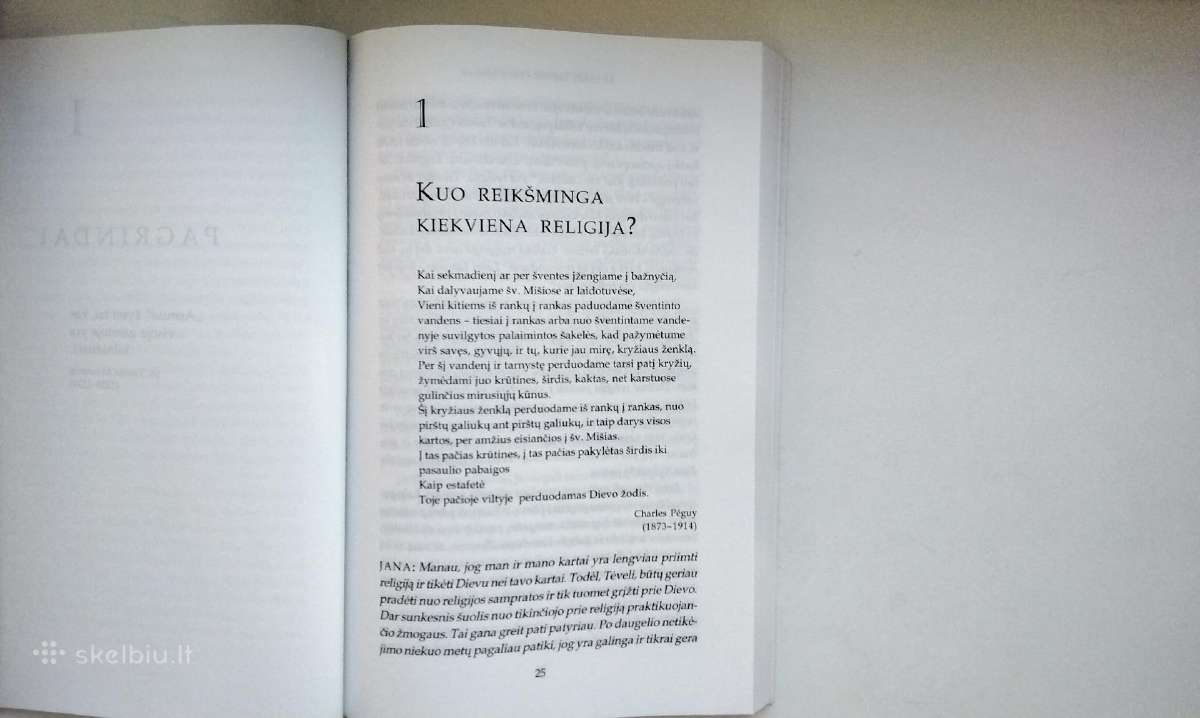 Mūsų tikėjimo lobiai. Pasakyk man, kodėl. Tobulumo - nuotraukos Nr. 15