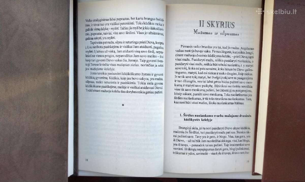 Mūsų tikėjimo lobiai. Pasakyk man, kodėl. Tobulumo - nuotraukos Nr. 25