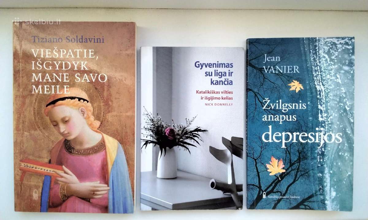 Išgydyk mane. Gyvenimas su liga ir kančia. Depresi