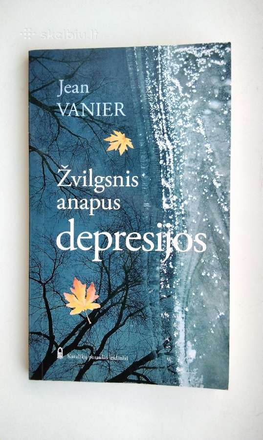 Išgydyk mane. Gyvenimas su liga ir kančia. Depresi - nuotraukos Nr. 21