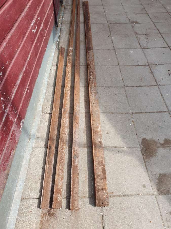 Kampuočiai 4 vnt.