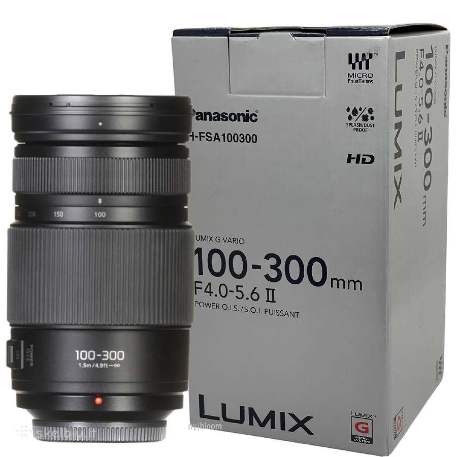 Panasonic Lumix G Vario 100-300mm / F4.0-5.6 - nuotraukos Nr. 3