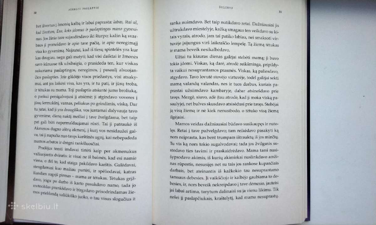 L. S. Černiauskaitė. Šulinys - nuotraukos Nr. 6