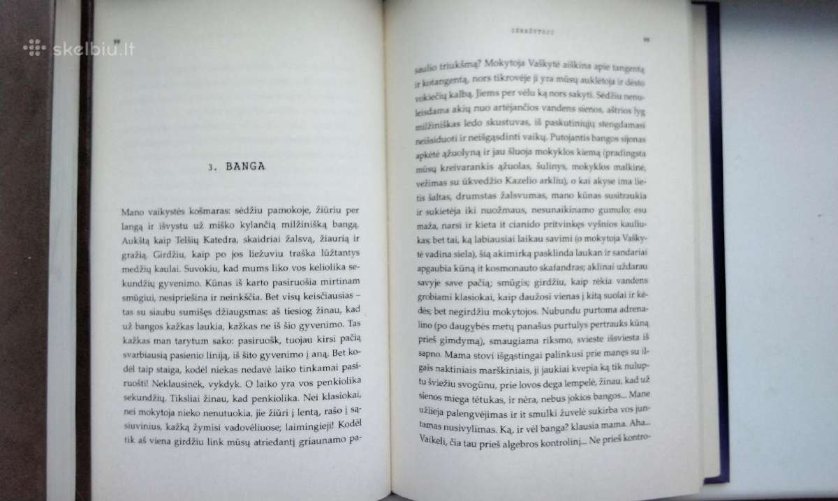 L. S. Černiauskaitė. Šulinys - nuotraukos Nr. 8
