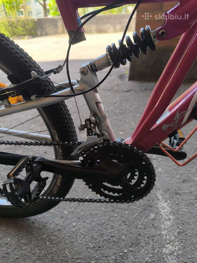 Full suspension dviratis - nuotraukos Nr. 5
