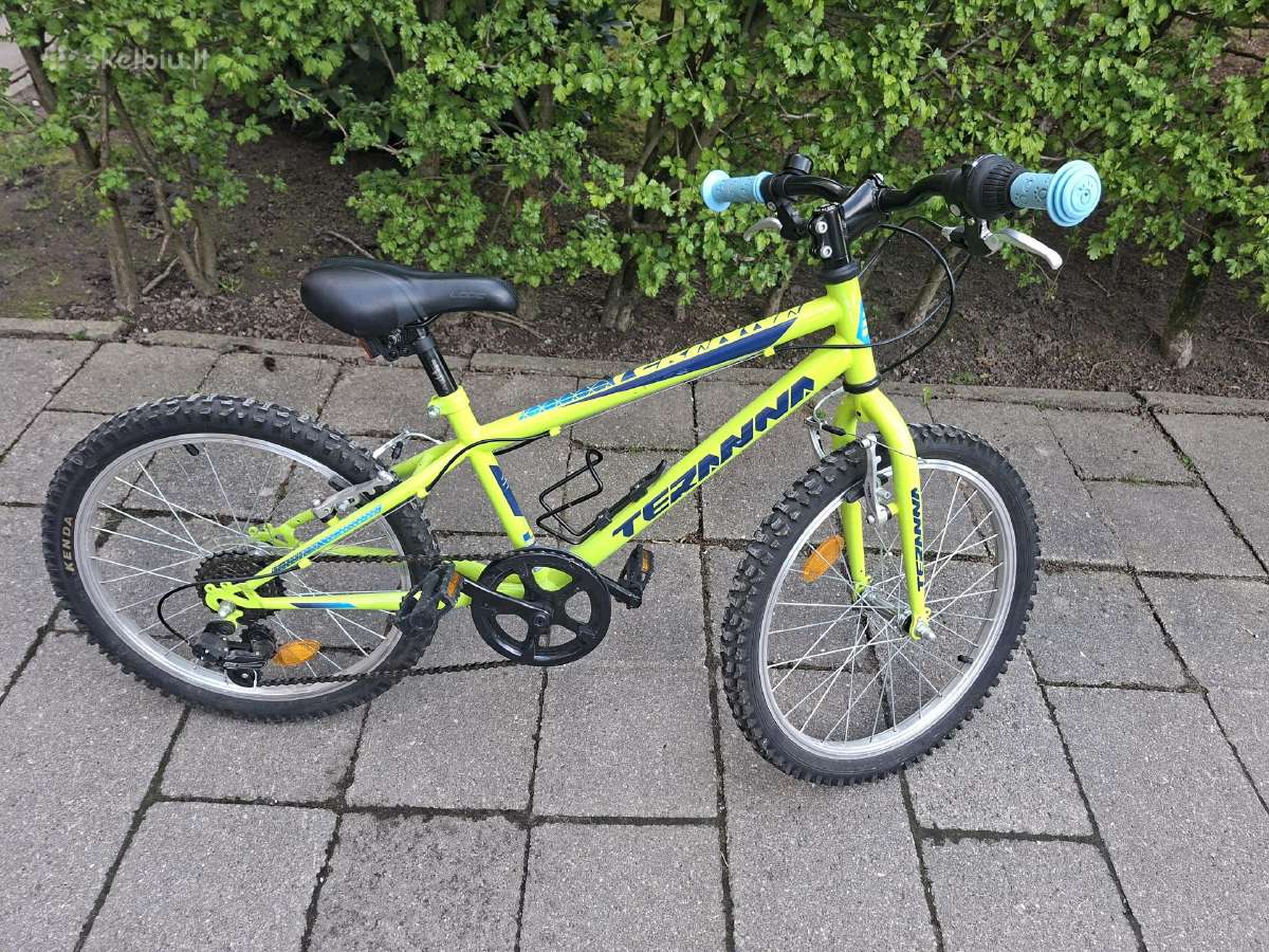 Vaikiškas dviratis Dhs Teranna 20"