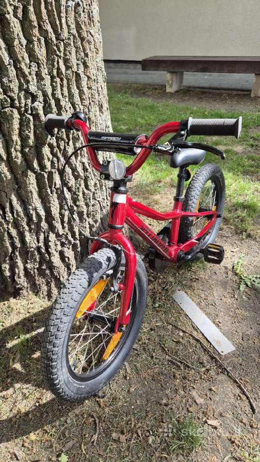 Specialized Riprock Coaster 16 - nuotraukos Nr. 2