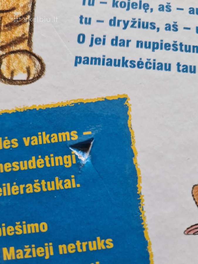 Vaikų piešimo mokyklėlė - nuotraukos Nr. 11