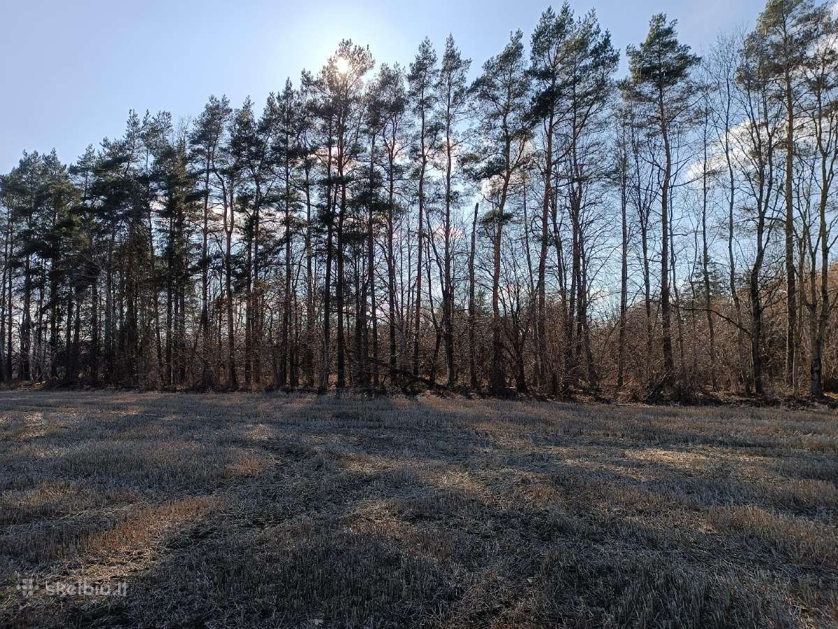 Ieškau sodybos