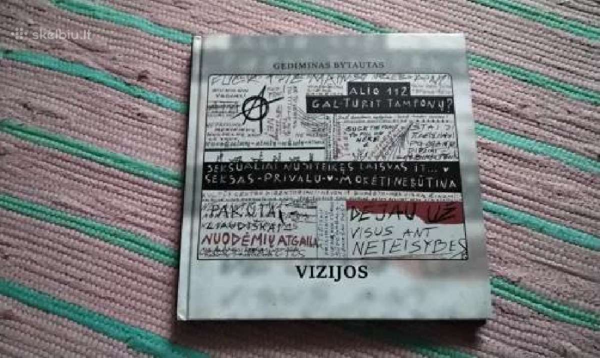 Vizija Gediminas Bytautas